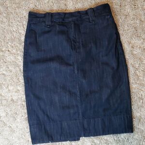 TRUE RELIGION Denim Pencil Skirt Sz. 30